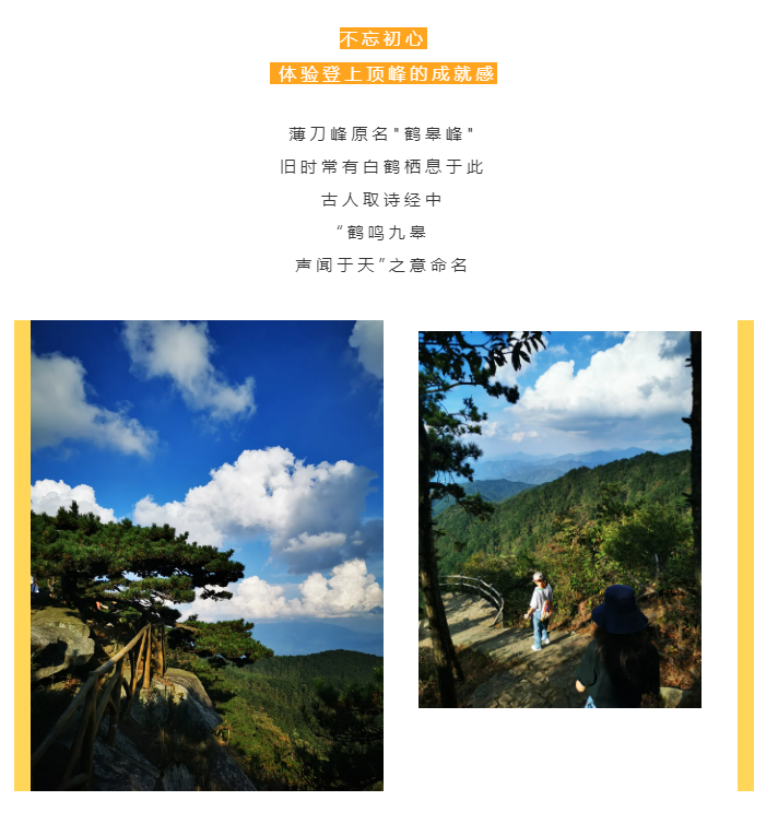 秋天了，來(lái)一場(chǎng)成年人的秋游吧(圖2)